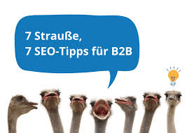 seo b2b