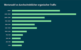 seo studie