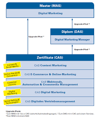cas social media & content marketing