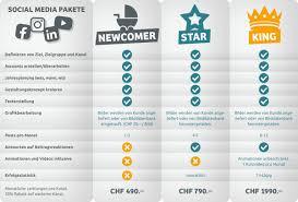 social media management kosten