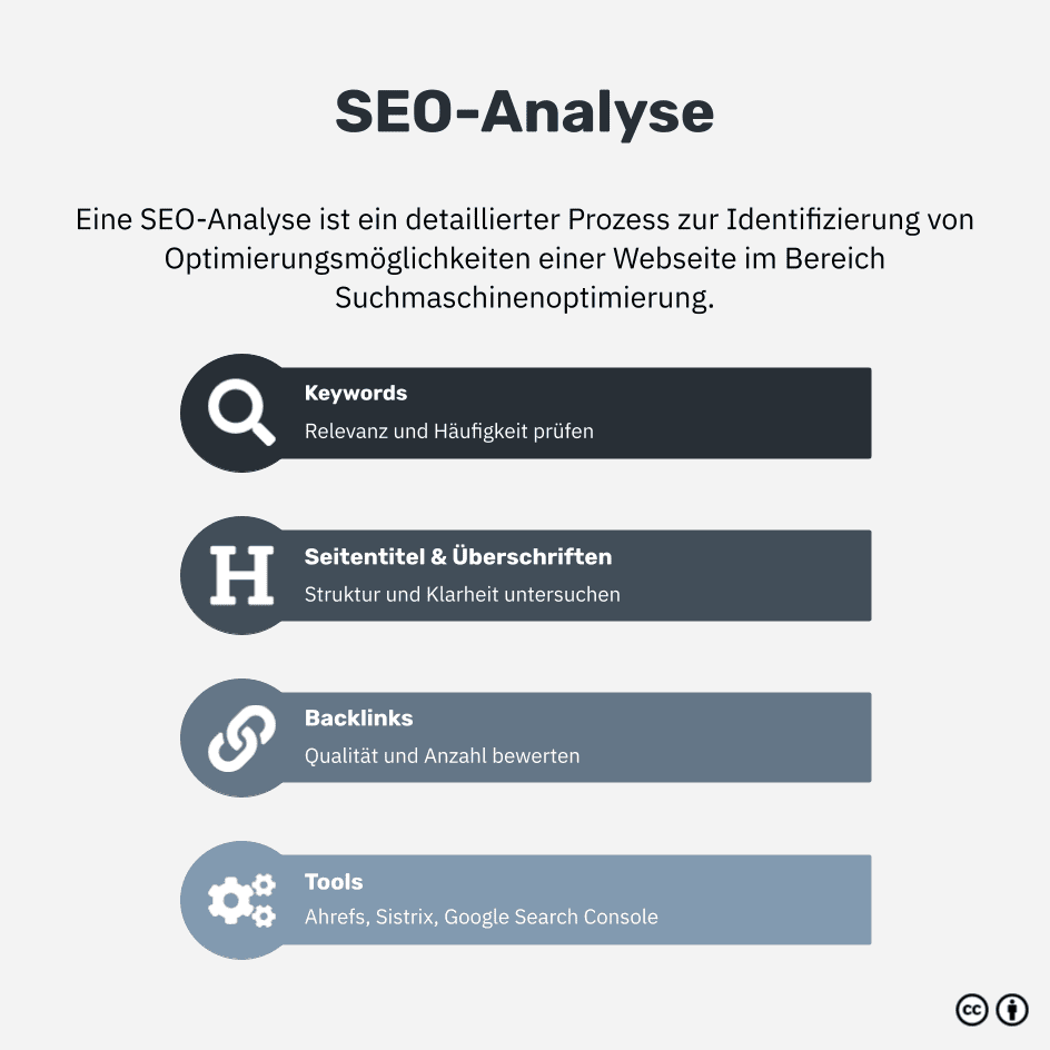 seo optimierung check
